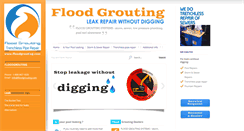 Desktop Screenshot of floodgrouting.com